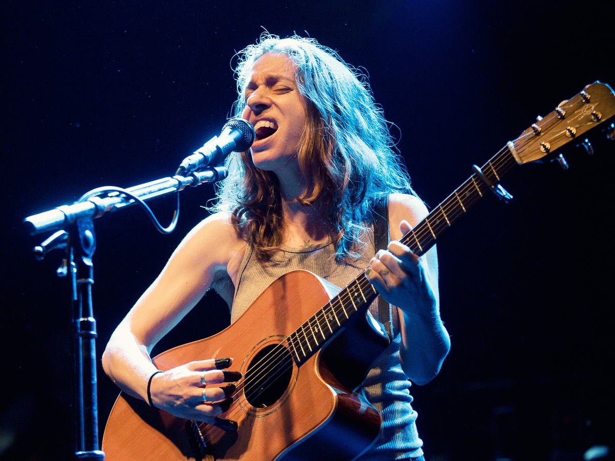 Ani DiFranco live in concert